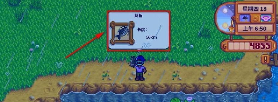 星露谷物语（游戏内秘籍分享）