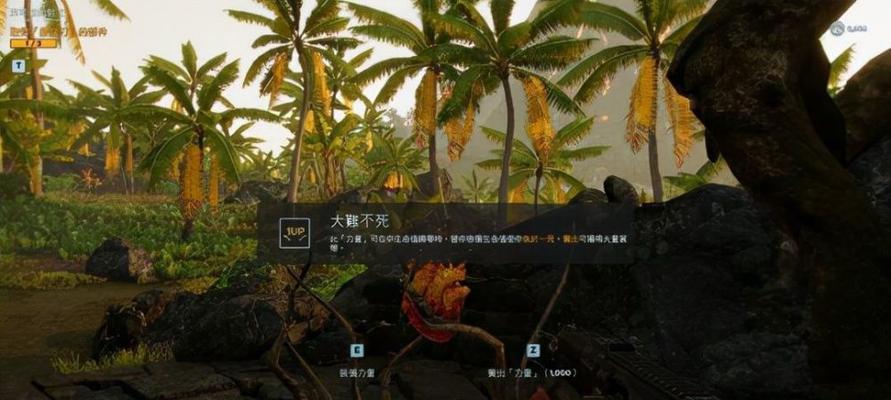 以孤岛惊魂4部分人物通关去向探讨（游戏中的选择与结局）