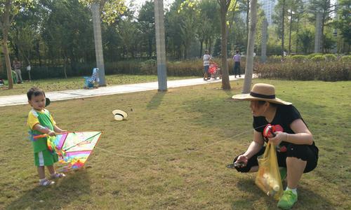 废土2无损风筝战术技巧是什么？如何有效运用？