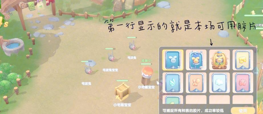 摩尔庄园放养鸡的操作流程是什么？