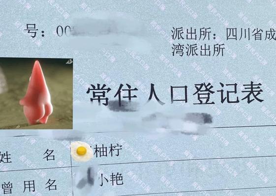 2025彩虹岛申请改名怎么改？改名流程是怎样的？