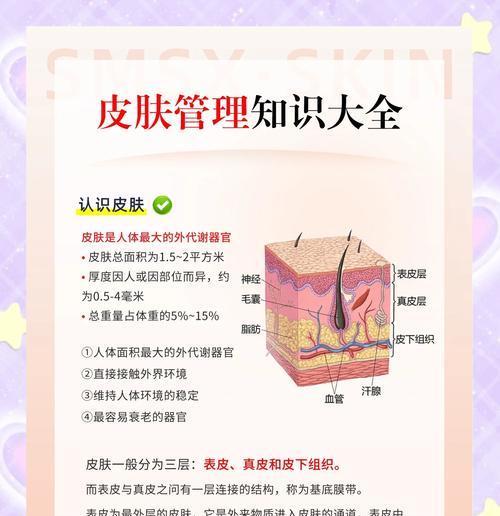 皮肤获取途径是什么？