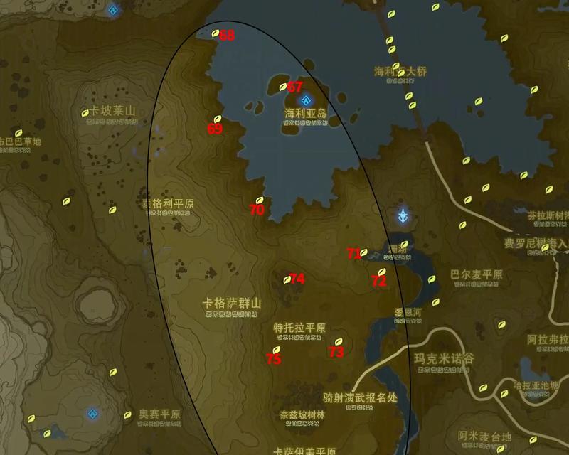 口袋妖怪绝望湖泊出口在哪里？