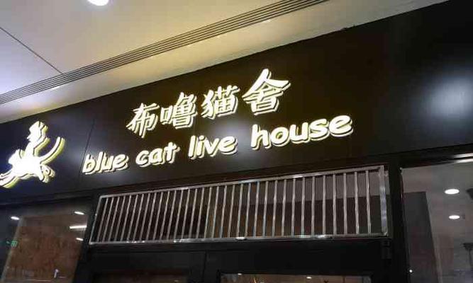 《开心猫舍旅行照片S级获取指南》（游戏玩家必读的猫咪照片S级获取攻略）