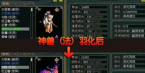 问道凌云宠物使用体验如何？好用的宠物有哪些特点？