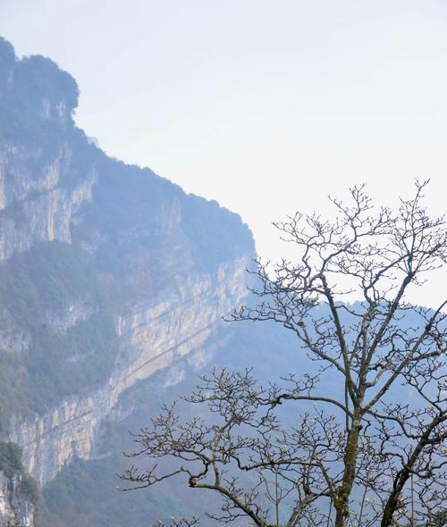 问道乾山金光洞怎么进去？进入金光洞的条件是什么？
